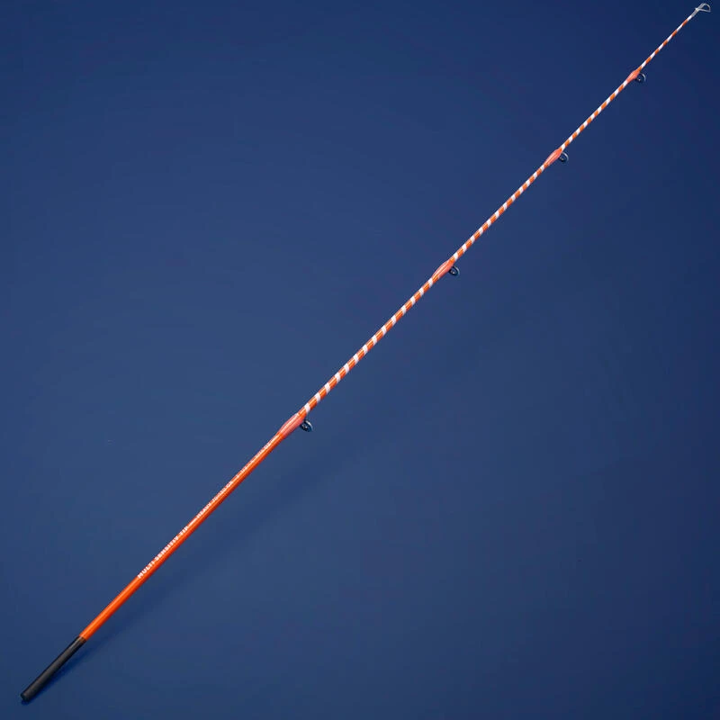 CANNE AU POSE SEACOAST LIGHT 500 350 MULTITIP TELESCOPIQUE PECHE EN MER â Image 8