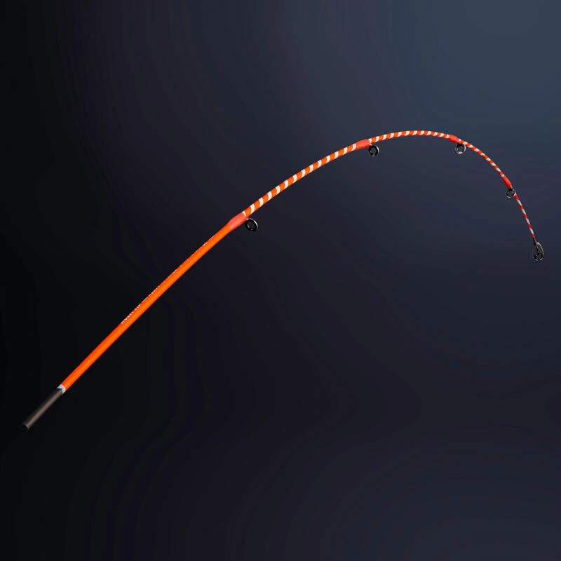 CANNE AU POSE SEACOAST LIGHT 500 350 MULTITIP TELESCOPIQUE PECHE EN MER â Image 9