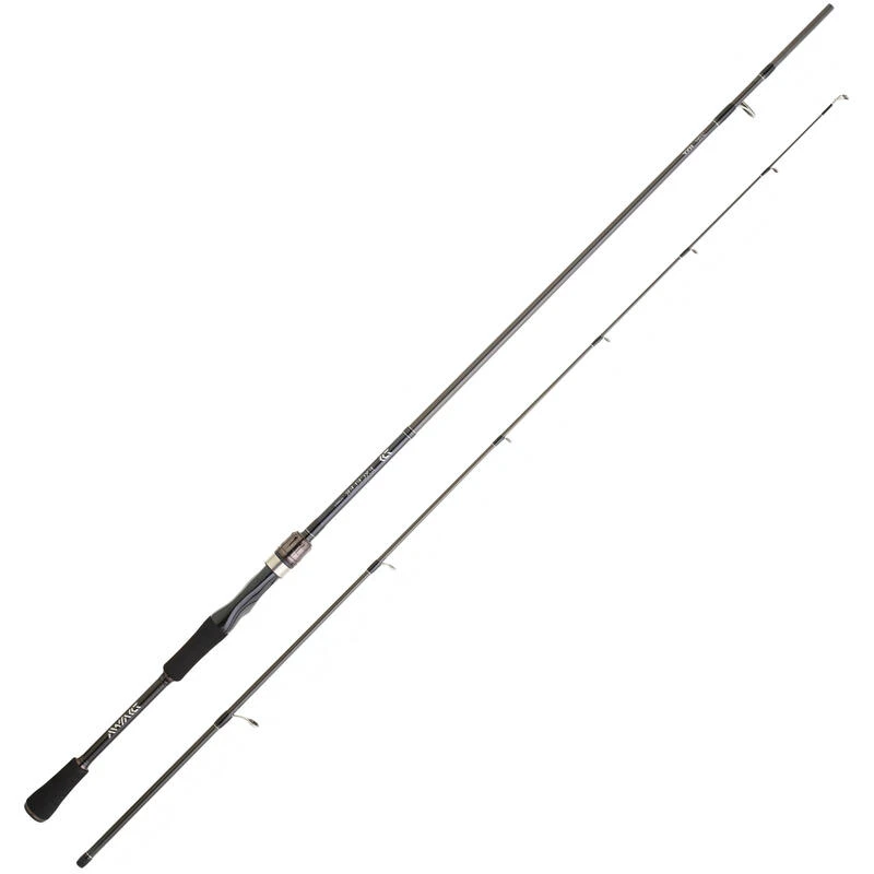 Daiwa Canne PĂȘche Aux Leurres EXCELER 662 MHFS DF
