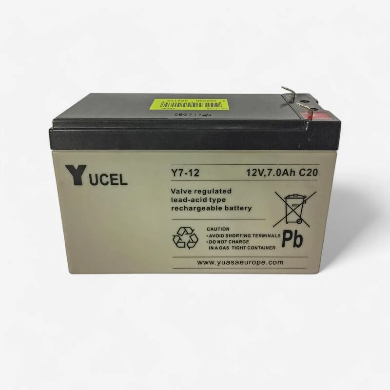 PĂCHE DE LA CARPE BATTERIE 7A