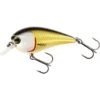 Poisson Nageur Westin Bassbite Squarebill 7cm (Official Roach)